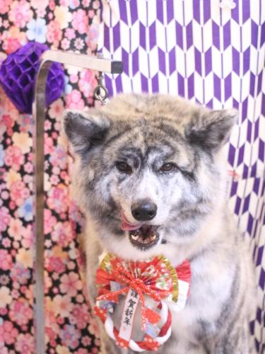 20250128むぎくん